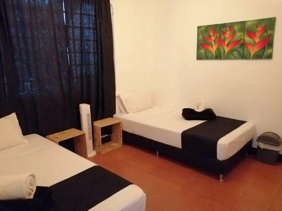 The Woods Hostel Medellin Colombia