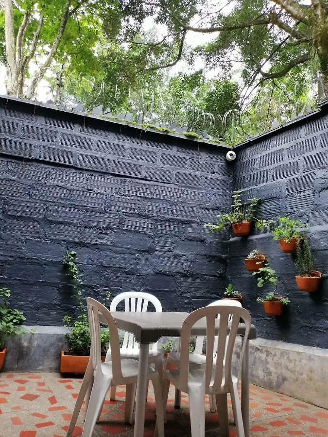 The Woods Hostel Medellin Colombia